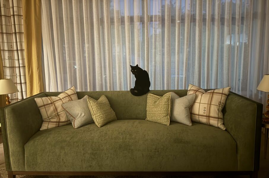 Post your supermodel cats