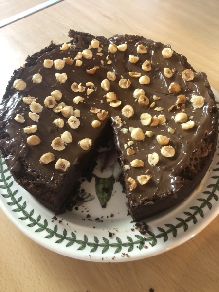 Puppy survival thread! All welcome!