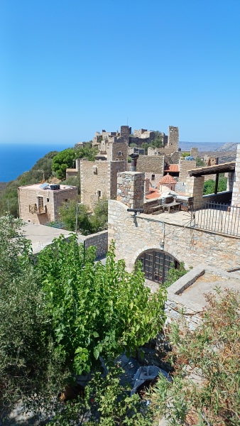 Thread 32 Starmer - Corn Moon