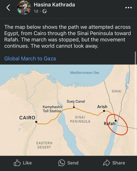 Palestine Action protests