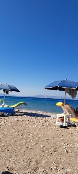 Thread 33 Starmer - Gerst Monath