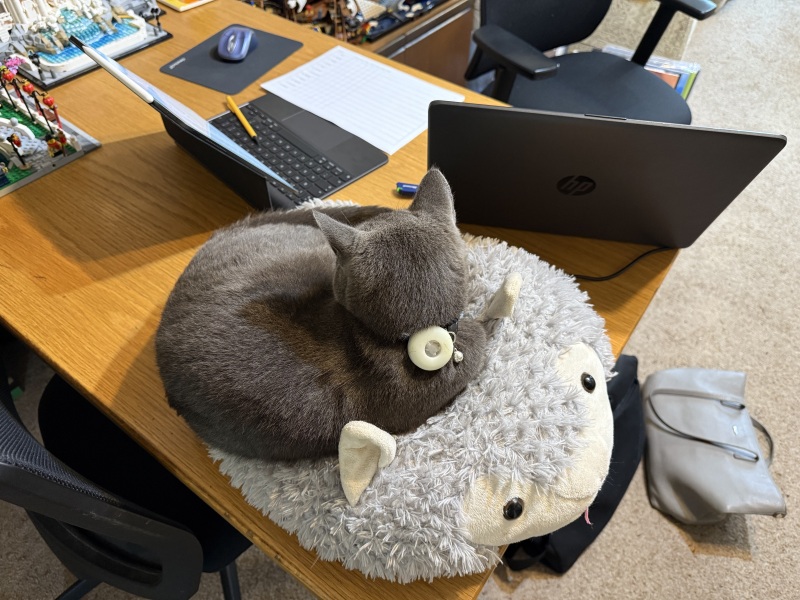 Chicken, Dreamies and Lickelix - the Excellent Cats form a disorderly queue