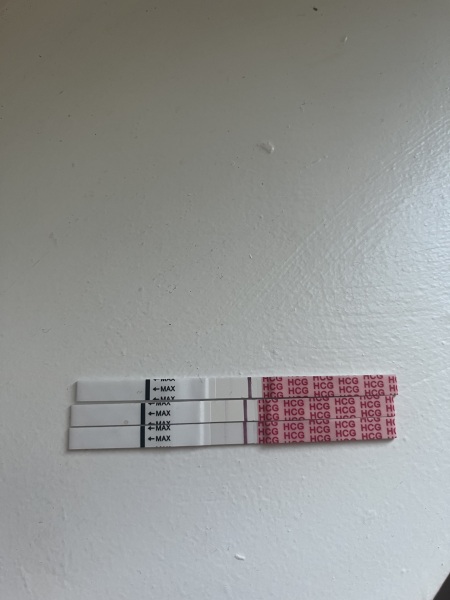 PLEASE TELL ME IF I'M PREGNANT.