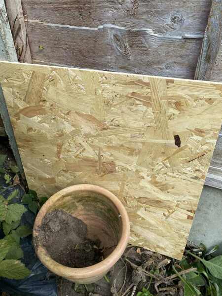 AIBU to stop next doors sick cat coming into my garden?