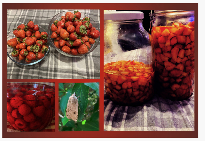 Year round Nigel Slater discussion thread Part 2