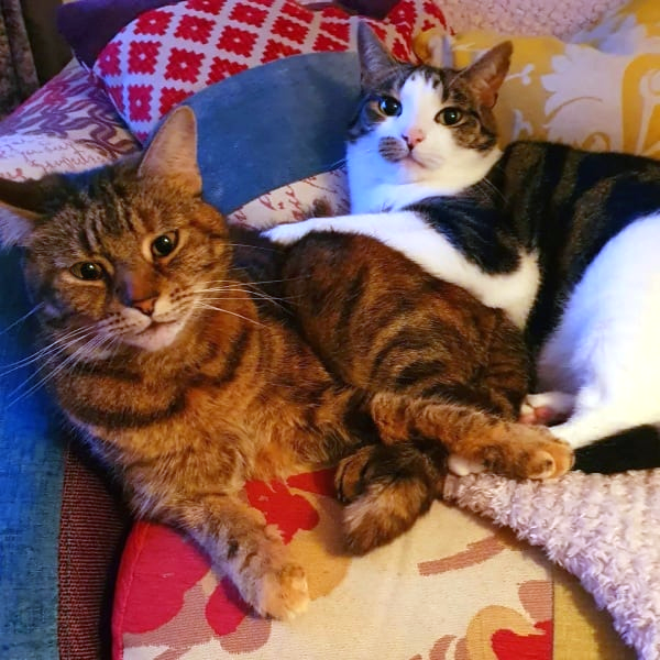 Photoshop Skills Needed Please!