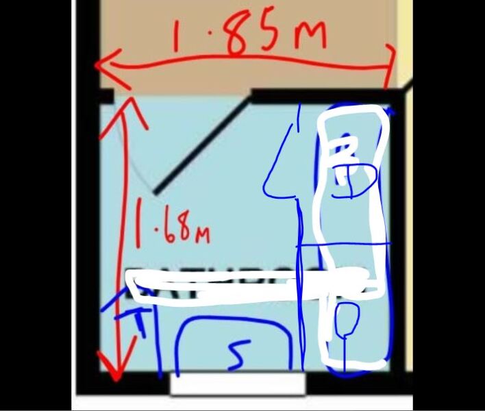 Small bathroom into two rooms?