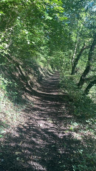 The Bluestocking - the one where the nights start to draw in