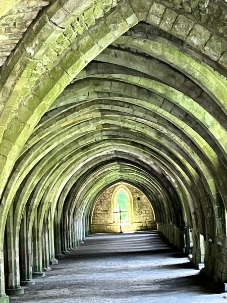 Thread 31 Starmer - September Rain