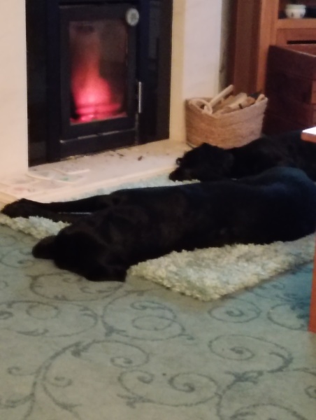 Anyone trying not to have heating on