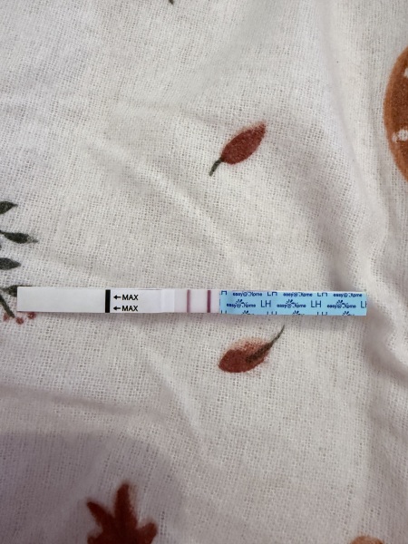 September TTC thread 💛