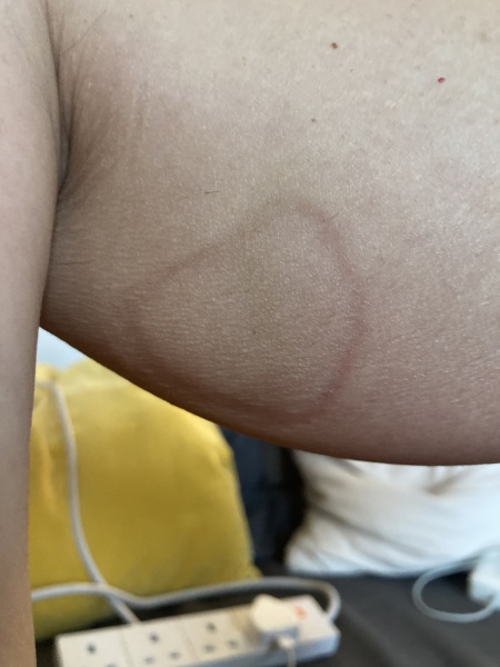 What could this be ? Pic