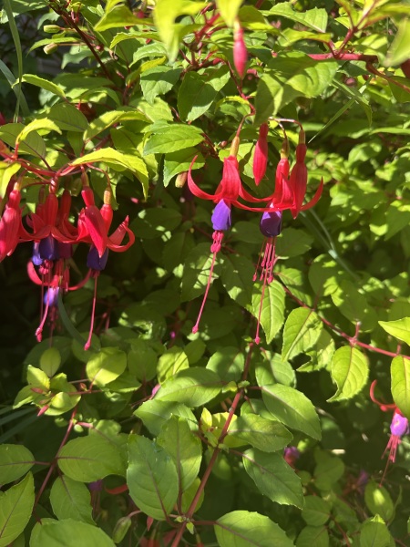 Year round Nigel Slater discussion thread Part 2