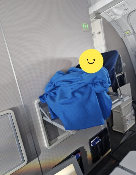 Tips for VERY long flight with a toddler?