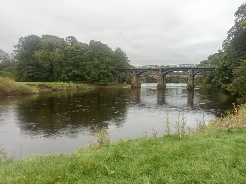 Year round Nigel Slater discussion thread Part 2