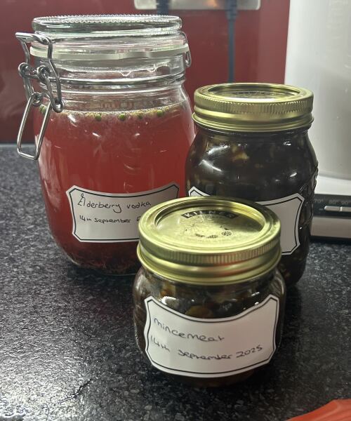 Poncetastic Christmas 2025