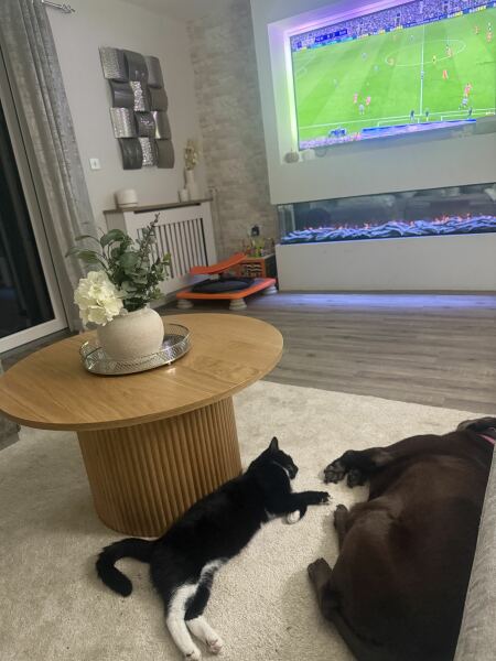 Post your supermodel cats