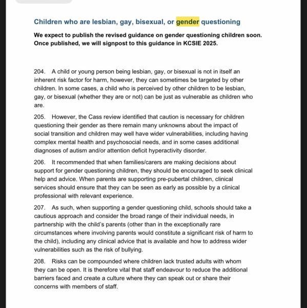 Please help: going into school (secondary) to talk about PSHE provision, given Just Like Us are coming in to give a talk on LGBTQ+ relationships