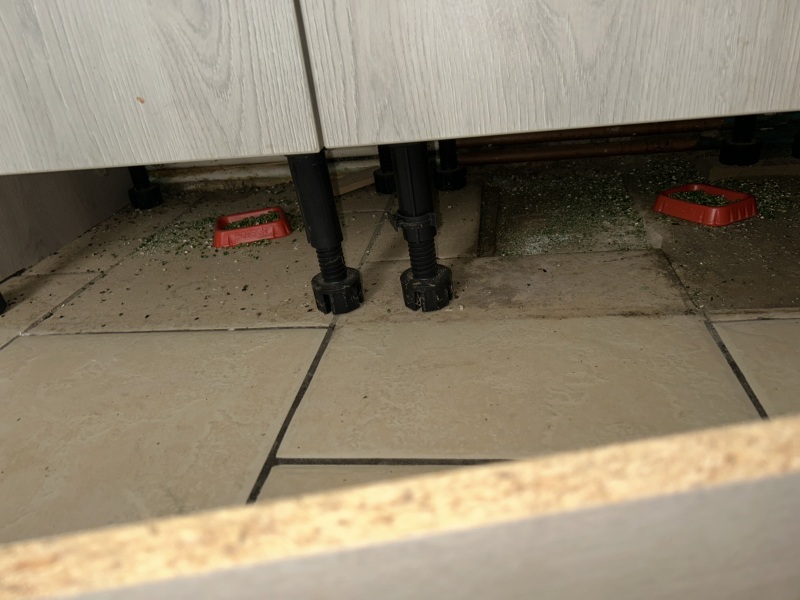 Mice house situation ongoing