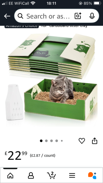 Help dealing with the literal litter tray pls