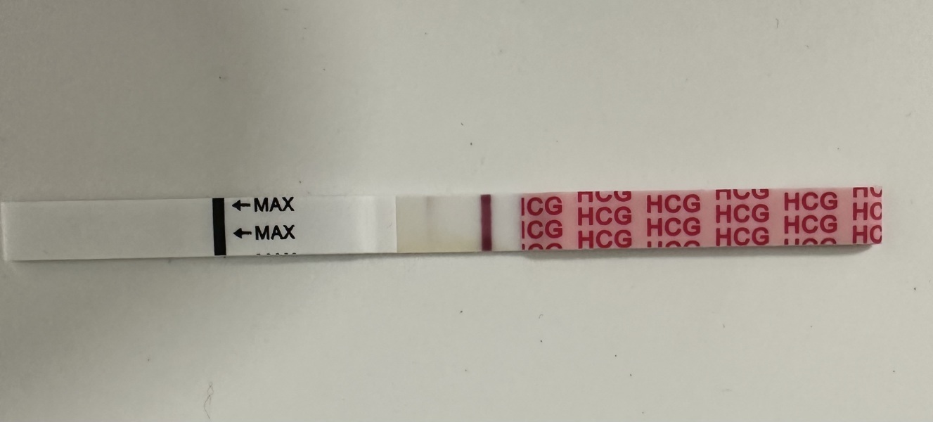 Wondfo Pregnancy Tests