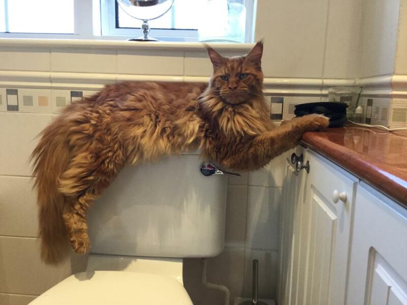 Labour isn't working - Thread 10