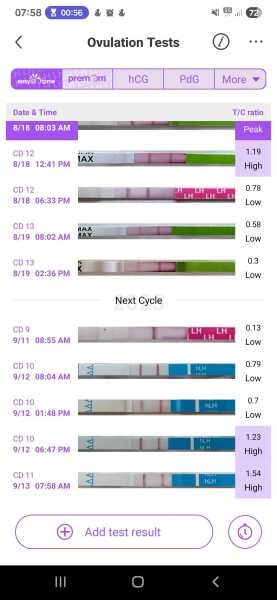 TTC TWW August/September 2025