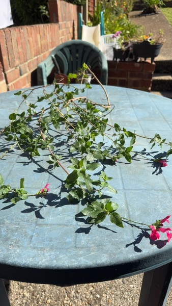 Can I save this?