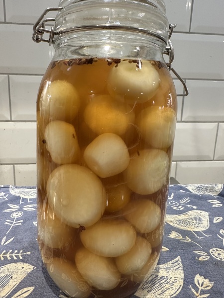 Poncetastic Christmas 2025