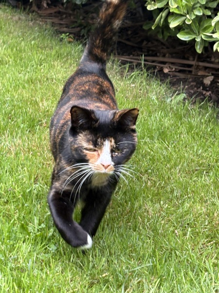 Woolly Hugs. Desperately sad news we are afraid. Making a Blanket for lovely Swashbuckled whose son has tragically died.