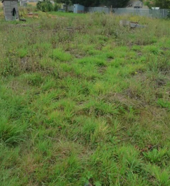 What is going on with food prices??