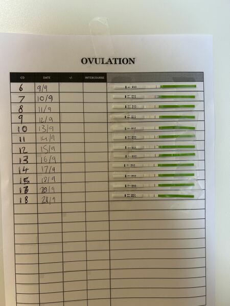 Breastfeeding + faint LH tests… am I ovulating or not?
