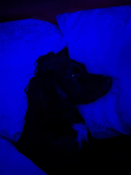 Our Cosmic Autumn Rebellion (Adolescent Support Group)