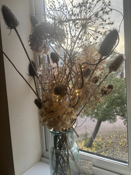 Poncetastic Christmas 2025