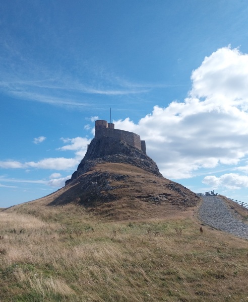 Thread 32 Starmer - Corn Moon