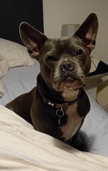 Support thread for those trying to lead an alcohol free life - Autumn 25