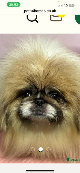 Labour isn't working - Thread 8