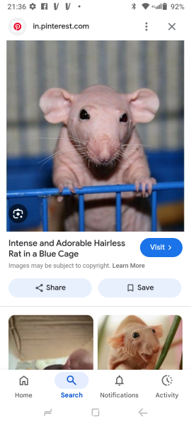 Husbands chastity cage