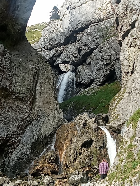 Year round Nigel Slater discussion thread Part 2