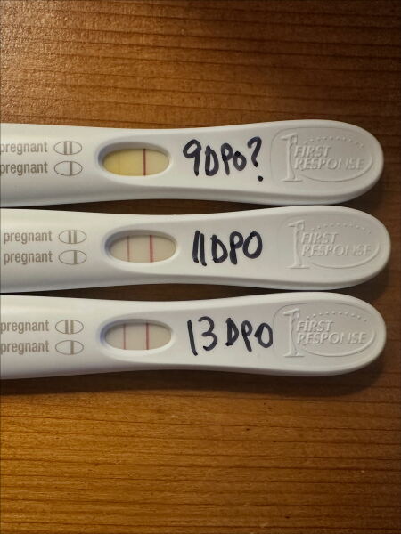 FRER line progression stalled
