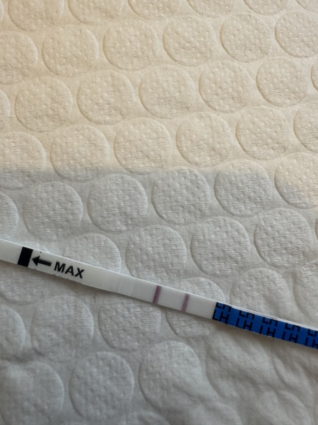 Two lines on an ovulation test? Could it indicate Pregnancy