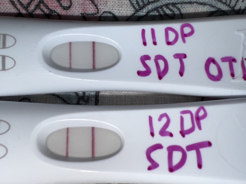 IVF pregnancy test help