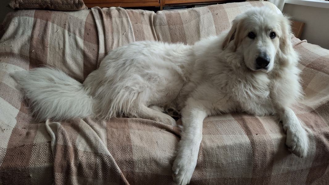 Our Cosmic Autumn Rebellion (Adolescent Support Group)