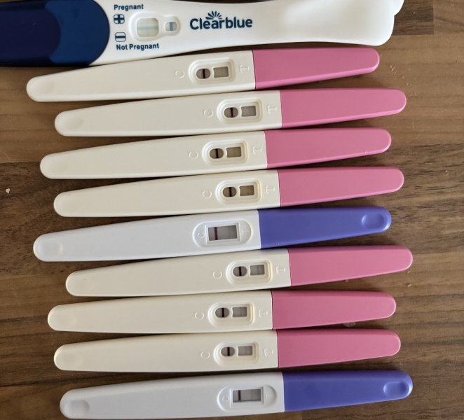 First test 10dpo last 13dpo
