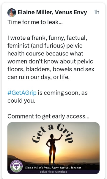 The Autumn Bluestocking - mist, mellow fruitfulness and hot chocolate!