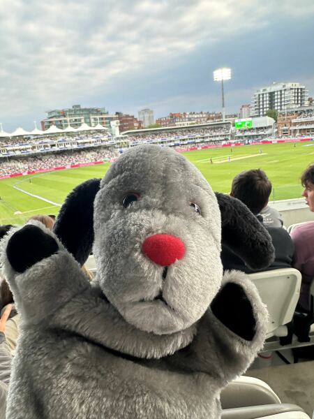 Posting upton’s old photos and name on twitter