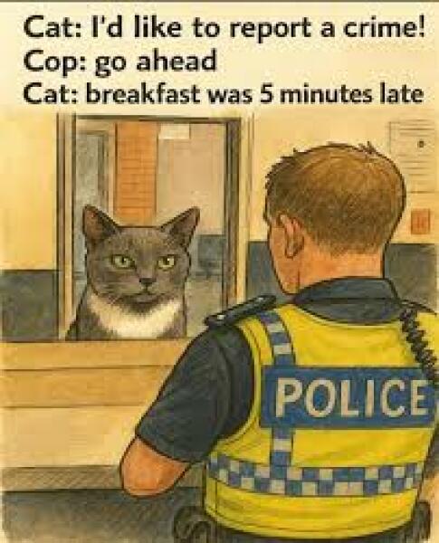 Cats a dickhead 🤣