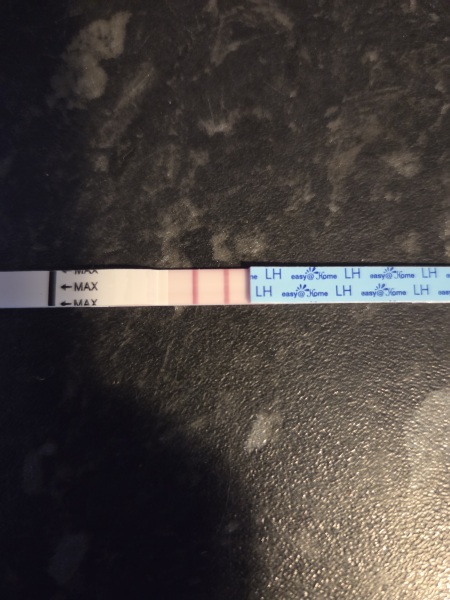 Whats going on with ovulation