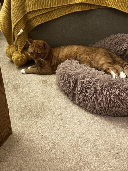 Sleeping spots - rotation?