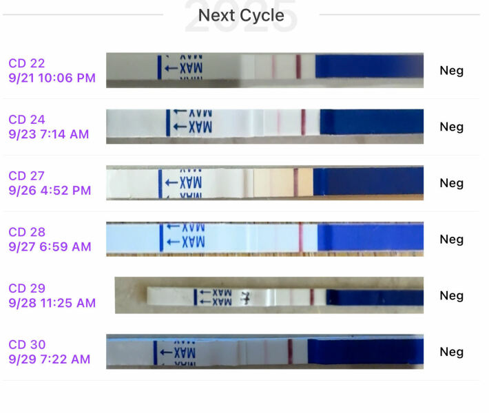 October 2025  - Halloween 🎃, colder weather and hoping for our BFP’s